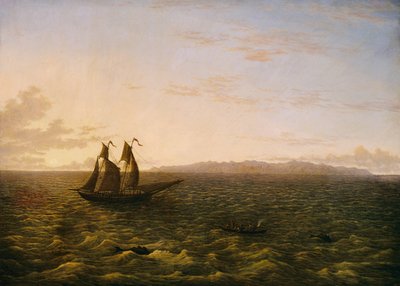 La isla de Madeira de John Glover